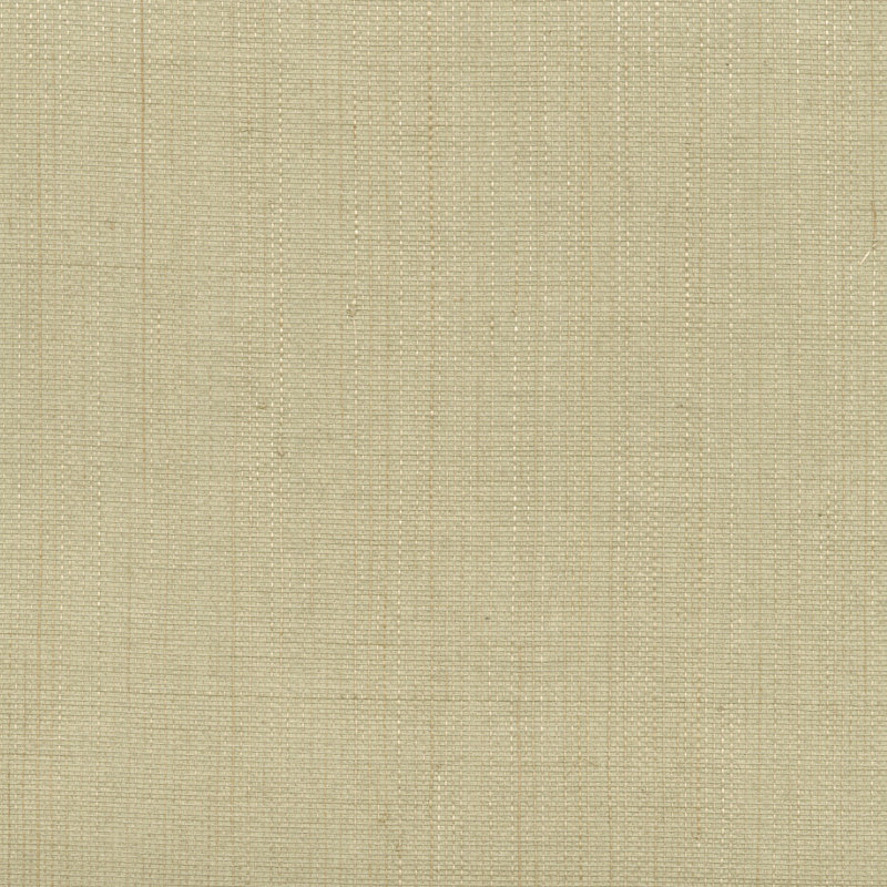 Bayou Breeze Dunnygarran, Valeria Light Grey Grasscloth, 24 Feet Long X